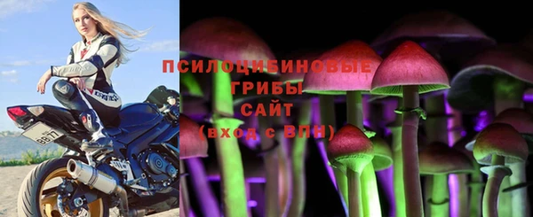 скорость Абаза