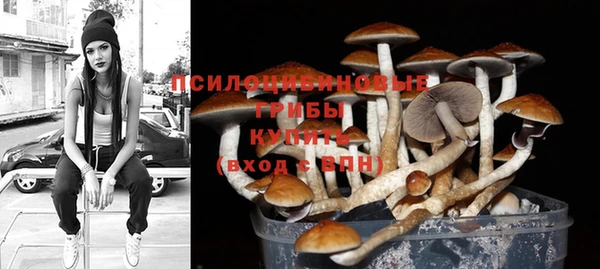 мет Алексин