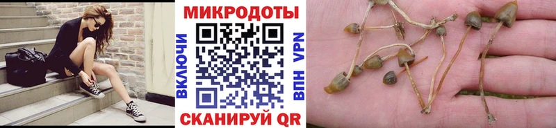 цены наркотик  Одинцово  Галлюциногенные грибы MAGIC MUSHROOMS 