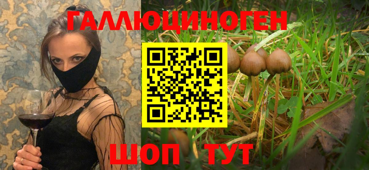 Галлюциногенные грибы мицелий Одинцово