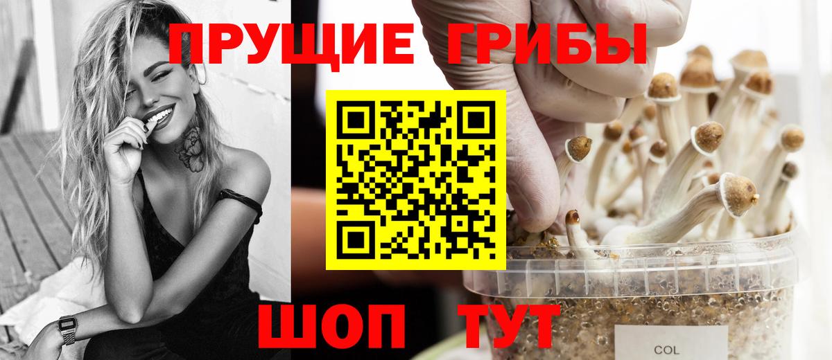 Псилоцибиновые грибы Psilocybe  Вход с VPN  купить  цена  Одинцово 